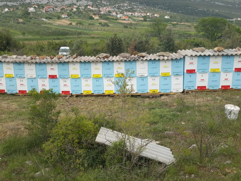 20160427_172819